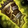 Misthide Gloves Icon