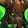 Prideful Gladiator's Wyrmhide Helm Icon