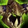 Malevolent Gladiator's Felweave Cowl Icon