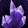 Amethyst Overload Icon