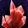 Jasper Overload Icon