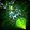 Necklace of Congealed Weaknesses Icon