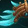 Shoulderwraps of the Shattered Vale Icon
