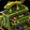 Lure Master Tackle Box Icon