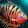 Tiger Gourami Icon