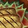 Eternal Blossom Fish Icon