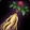 Ginseng Icon