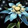Snow Lily Icon