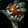 Extinguished Ember of Galakras Icon