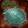 Qin-xi's Polarizing Seal Icon