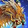 Reins of the Golden Cloud Serpent Icon