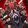 Malevolent Gladiator's Barrier Icon