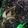 Prideful Gladiator's Barrier Icon