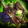 Malevolent Gladiator's Felweave Amice Icon