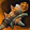 Drakebinder Greatstaff Icon