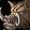 Polymorph Icon