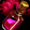 Master Healing Potion Icon