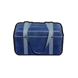 School Uniform Bag in Neverness to Everness