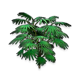 Olive Ferns in Neverness to Everness