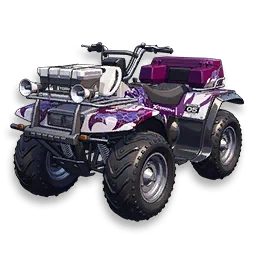 Sandy Mirage - Livery in Neverness to Everness