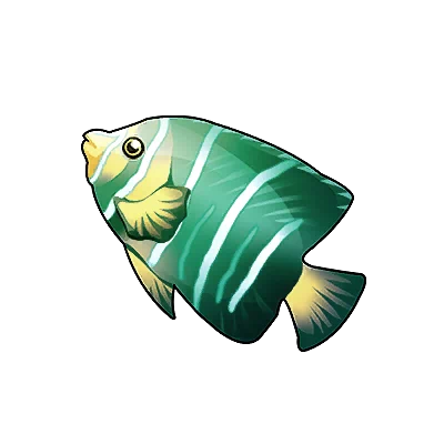 Green-striped Angelfish in Neverness to Everness
