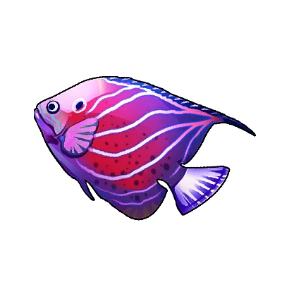 Knight Angelfish in Neverness to Everness