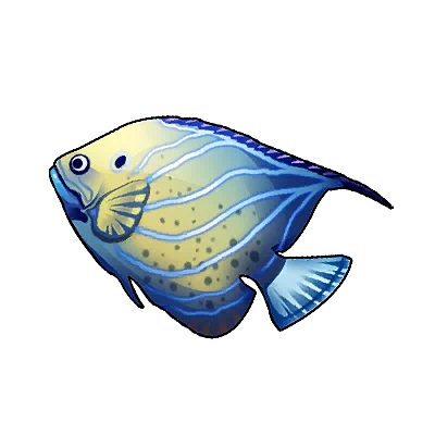 Queen Angelfish in Neverness to Everness