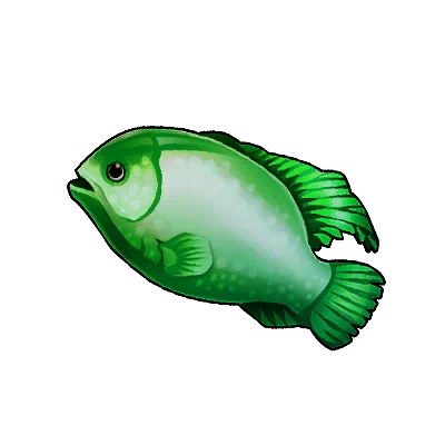 Greenface Angelfish in Neverness to Everness