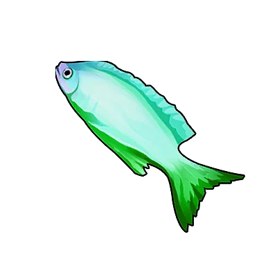 Cyan Queen Angelfish in Neverness to Everness