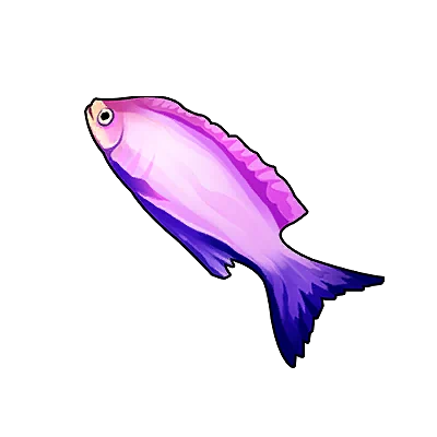 Purple Queen Angelfish in Neverness to Everness
