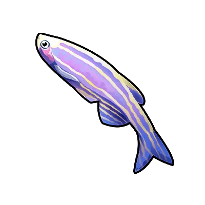 Zebrafish in Neverness to Everness