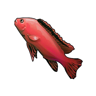 Red Tang in Neverness to Everness