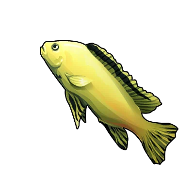 Yellow Tang in Neverness to Everness