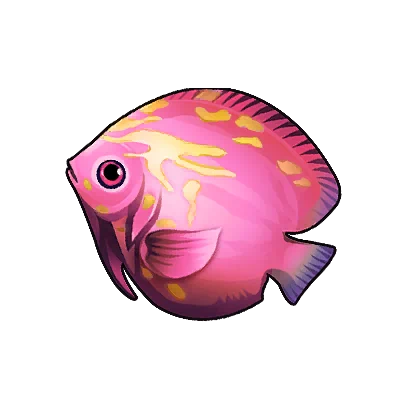 Pink Saddleback Angelfish in Neverness to Everness