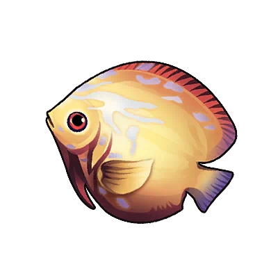 Saddleback Angelfish in Neverness to Everness