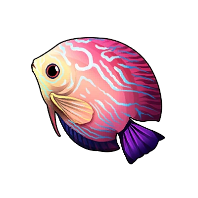 Peppermint Angelfish in Neverness to Everness
