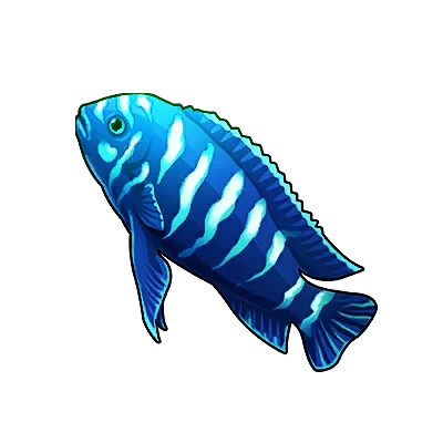 Emerald Flame Angelfish in Neverness to Everness