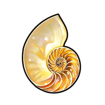 Half Nautilus (Left) in Neverness to Everness