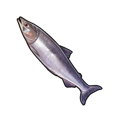 Salmon in Neverness to Everness