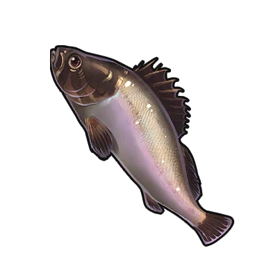 Flounder in Neverness to Everness