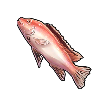 Red Sea Bream in Neverness to Everness