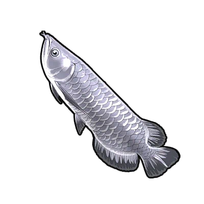 Silver Arowana in Neverness to Everness