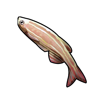 Underwater Rainbow in Neverness to Everness