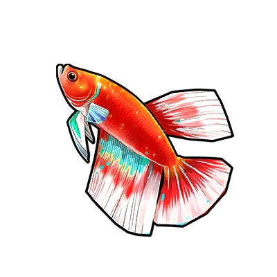 Rainbow Angelfish in Neverness to Everness