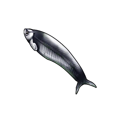 Black Ghost in Neverness to Everness