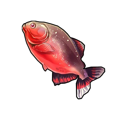 Rosy Barb in Neverness to Everness