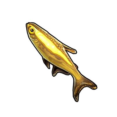 Payara in Neverness to Everness