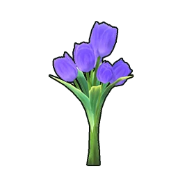 Variations in Neverness to Everness