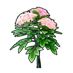 Eternal Spring in Neverness to Everness