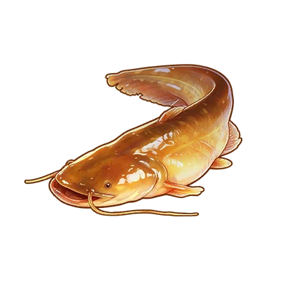 Amber Catfish in Neverness to Everness